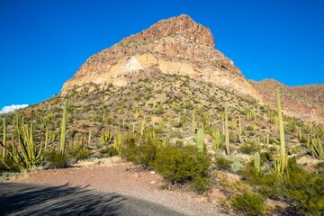 An overlooking view of Organ Pipe Cactus NM, Arizona