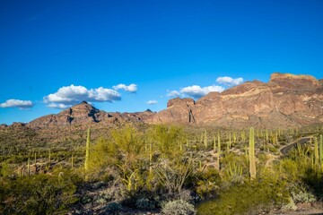 An overlooking view of Organ Pipe Cactus NM, Arizona