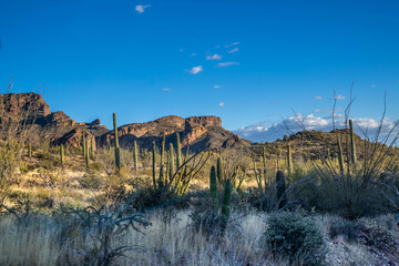 An overlooking view of Organ Pipe Cactus NM, Arizona