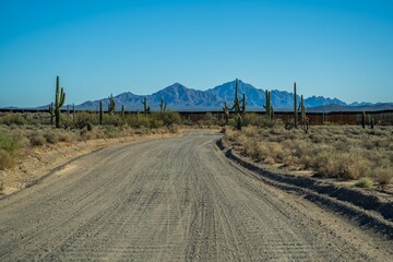 A long way down the road going to Organ Pipe Cactus NM, Arizona