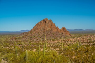 An overlooking view of Organ Pipe Cactus NM, Arizona