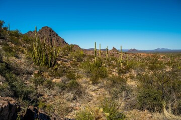 An overlooking view of Organ Pipe Cactus NM, Arizona