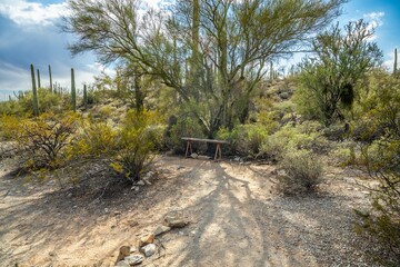 An overlooking view of Organ Pipe Cactus NM, Arizona