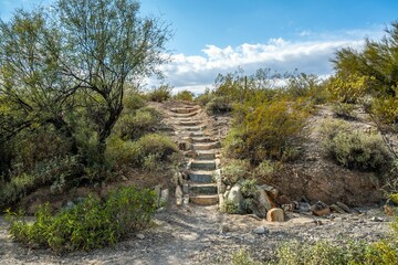 An overlooking view of Organ Pipe Cactus NM, Arizona