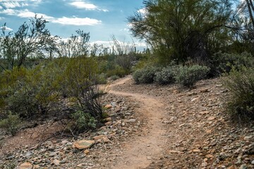 An overlooking view of Organ Pipe Cactus NM, Arizona
