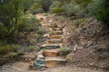 An overlooking view of Organ Pipe Cactus NM, Arizona