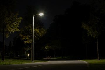 A Streetlight scene lit up brightly alone in a green park