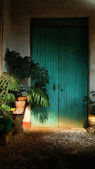 Obraz premium old typical vintage wooden door, monstera deliciosa, Ceriman, shadows and lights