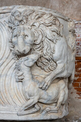 Sculptures of lion attacking a foal carved in marble wall