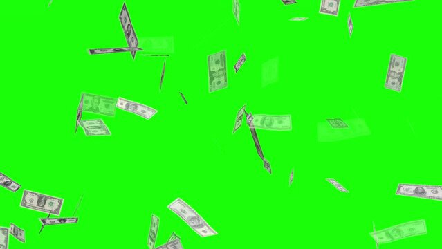 Falling isolated US dollar banknotes. Overlay. US currency. Money background. Green screen. 29,97 fps