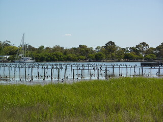 rio grande