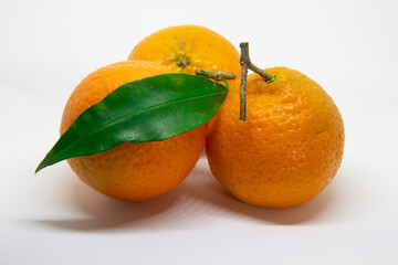 tangerines on white isolated background