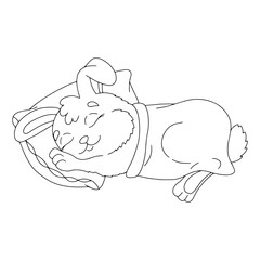 A cute rabbit sleeps under a blanket. Coloring book page for kids. Cartoon style. Vector illustration isolated on white background.