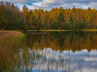 Golden autumn in Karelia, northwest Russia. Trees with yellow leaves, calm on the lake. Clouds in the sky.