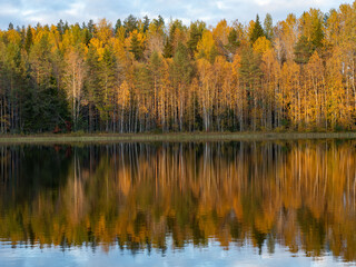 Fototapeta na wymiar Golden autumn in Karelia, northwest Russia. Trees with yellow leaves, calm on the lake. Clouds in the sky.