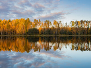 Golden autumn in Karelia, northwest Russia. Trees with yellow leaves, calm on the lake. Clouds in the sky.