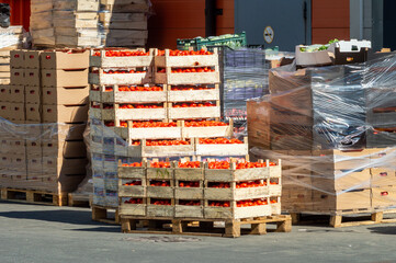 boxes of tomatoes in front of the food warehouse