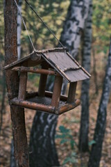 birdhouse in autumn forest, Siberia