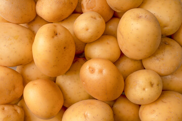 A group of fresh tasty potato as  background.