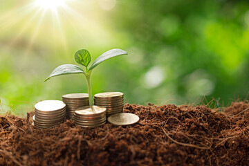 Growing up of economy concept. Creative ideas the success for investment and money management.