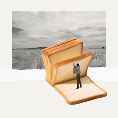 Contemporary art collage. Creative image with man and bread slices over black and white wheat field background