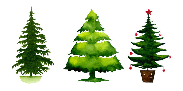 Watercolor christmas trees set. Hand drawn evergreen trees illustration isolated on white. Christmas tree clipart.