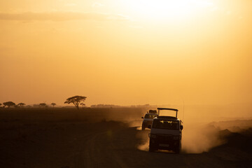 Vehciles moving out of the park during Sunset with heavy dust all over at Amboseli national park,...