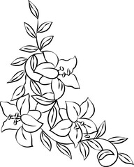 Fototapeta premium Hand drawn Floral, plants doodles illustration