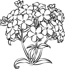 Hand drawn Floral, plants doodles illustration