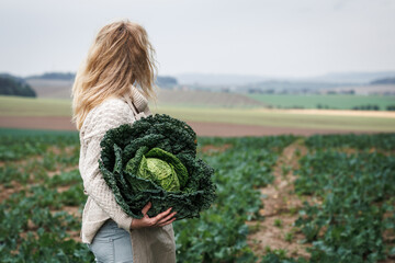 Farmer holding big kale cabbage at agricultural field. Autumn harvest
