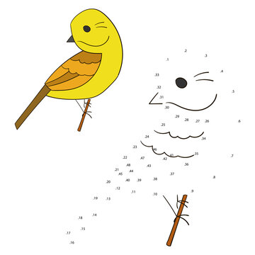 Connect the dots game yellowhammer bird PNG illustration with transparent background