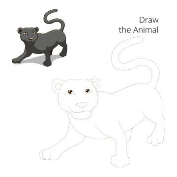 Draw animal panther educational game PNG illustration with transparent background