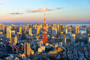 東京都心と東京タワー（夕方）