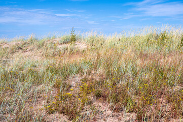 sand dunes and grass.

Ohtakari, Finland