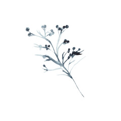 Blue flowers leave winter nature watercolor illustration on white background.