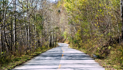 Obraz premium Curved road with trees and grass on roadside
