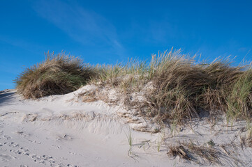 sand dunes on the beach