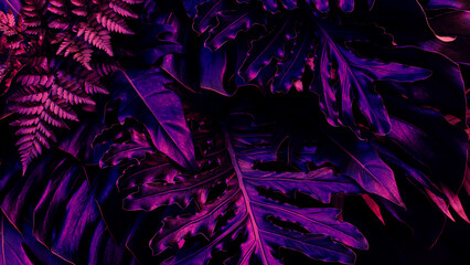 Tropical leaves, dark purple color toned