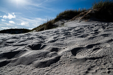 footsteps in the sand