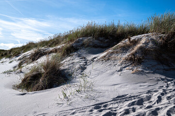 sanddunes at the beach