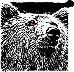 Obraz na płótnie Canvas illustration of a bear