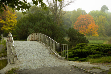 Fototapeta premium bridge in the park