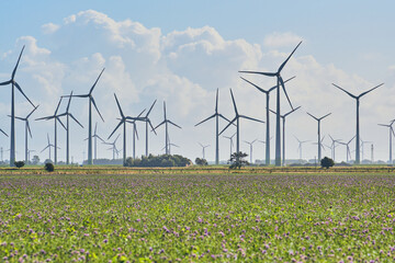Renewable energy wind park in schleswig-holstein. High quality photo