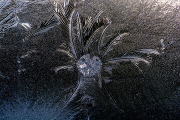 Iceflower on a glass window
