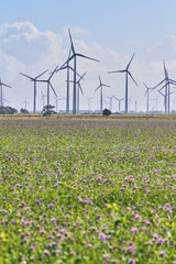 Wind park in northern Germany. High quality photo