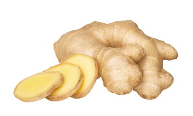 Ginger root isolated. One whole and cut slices of ginger root