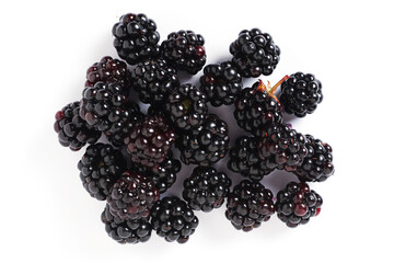 Sweet fresh blackberry