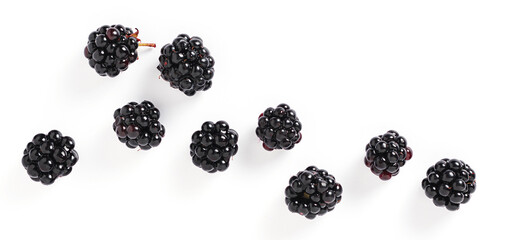 Blackberry on white