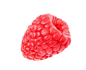 Raspberry berry isolated. One single raspberry fruit 