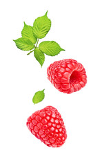 Raspberry berries isolated. Two falling raspberry fruits with green leaves